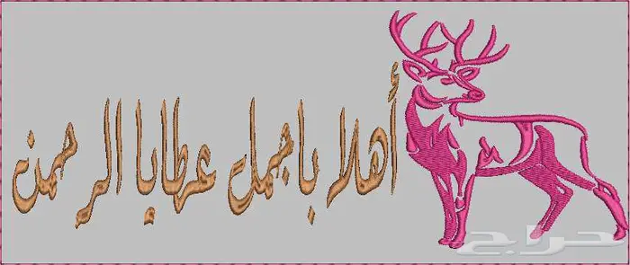 مصمم تطريز طقم بيبي 5