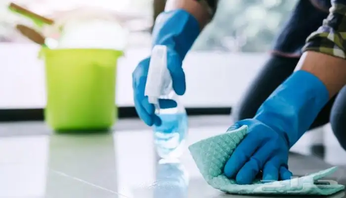 شركه مكافحة حشرات تنظيف مجالس سجاد غسيل مكيفات رش مبيدات 6