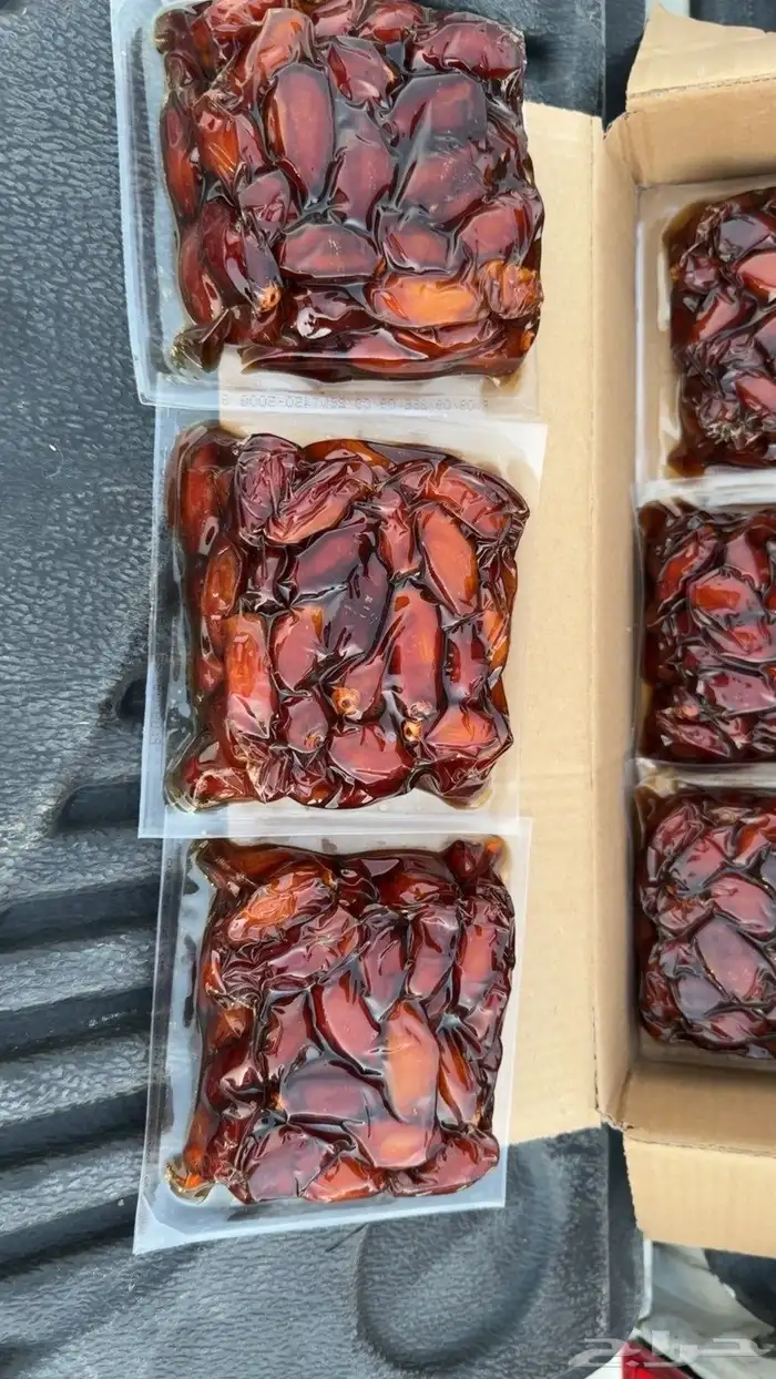 صفري بيشة 2