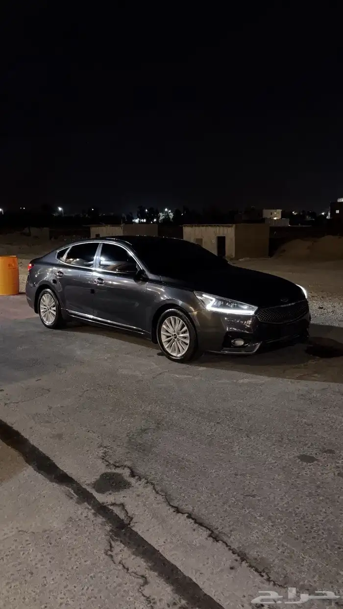 كادينزا2018 0