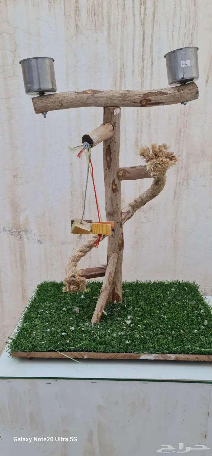 للبيع قفص حجم وسط مع مجثم 2