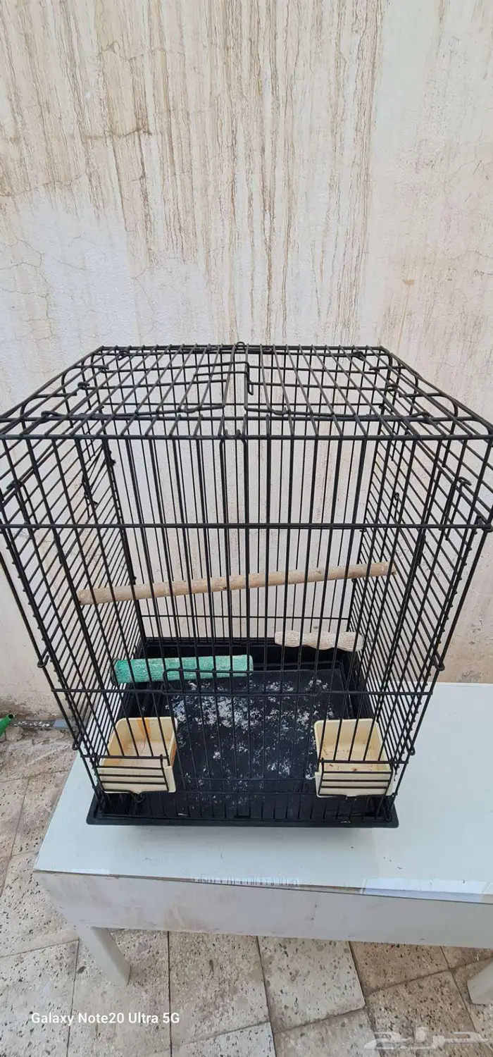 للبيع قفص حجم وسط مع مجثم 1