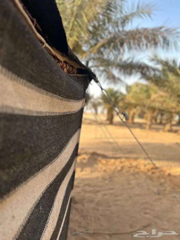 بيت شعر 6 في 4صافي من الداخل نظيف وشرط 1