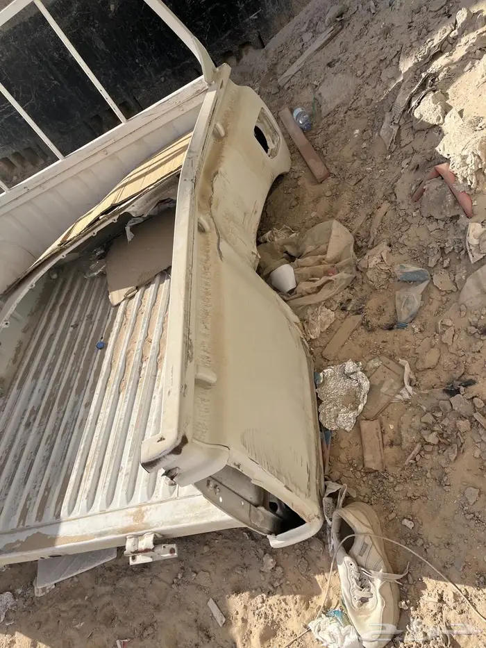 حوض ددسن 2016 1