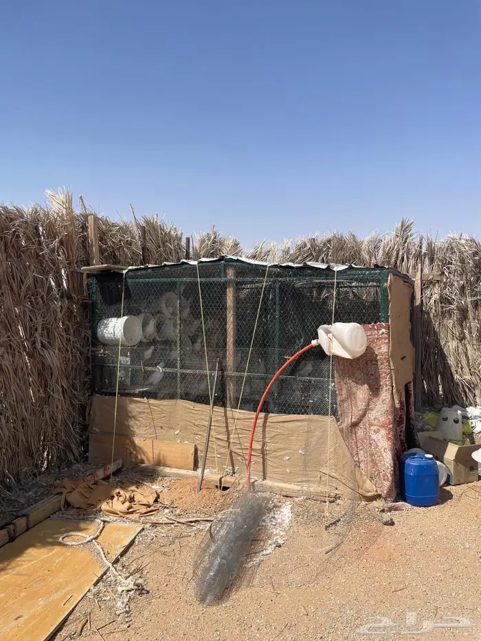 بيع حمام فرنسي منتج 0