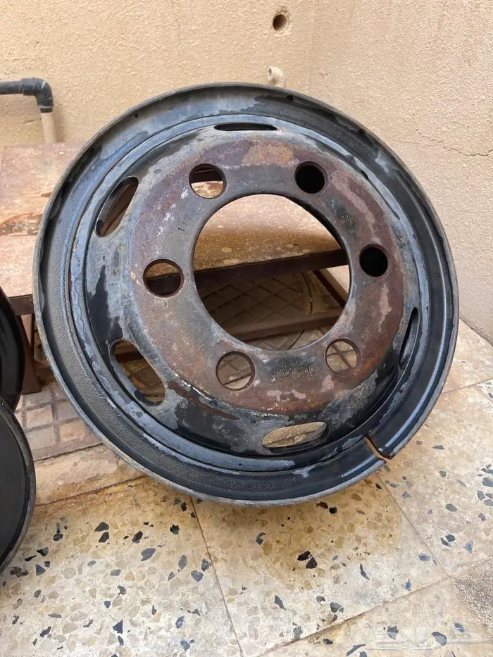 جنوط دينا مقاس 16 شنبر 1