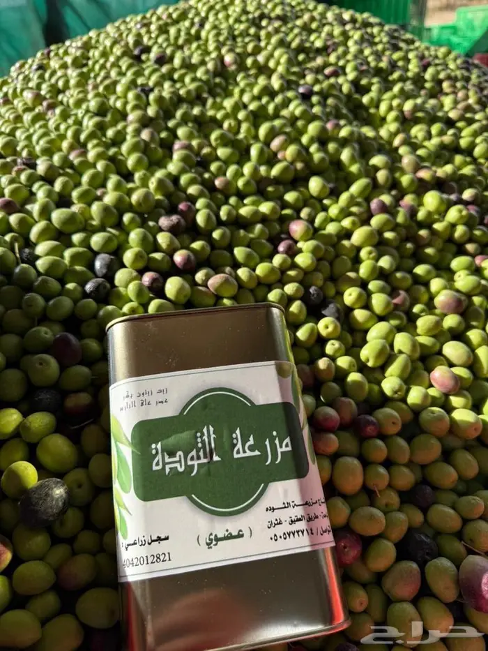 زيت زيتون 1