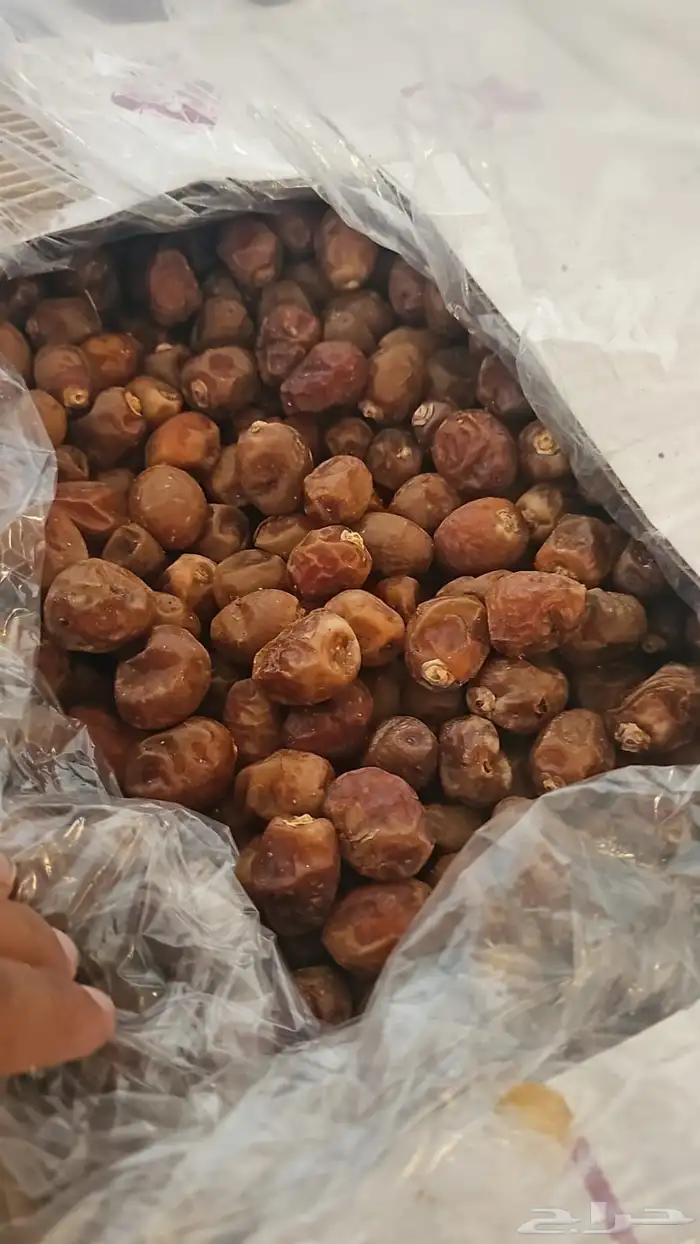 تمر برحي نظيف جدا البيع باكيلو الكيلو 1.50 1