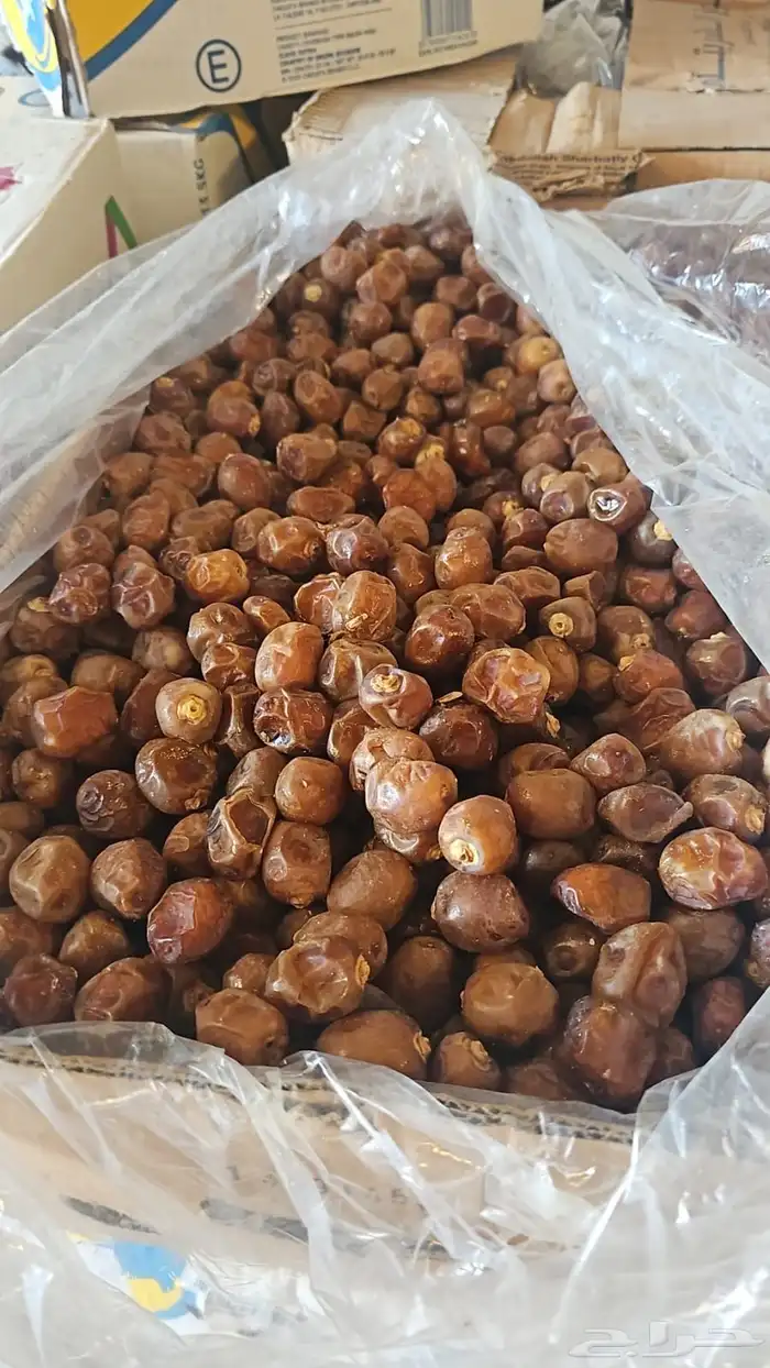 تمر برحي نظيف جدا البيع باكيلو الكيلو 1.50 0