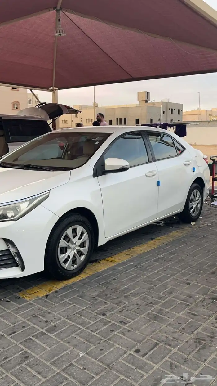 كورلا 2019 0
