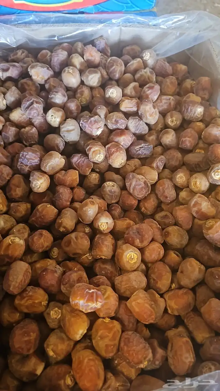 تمر برحي نظيف جدا البيع باكيلو الكيلو 1.50 2