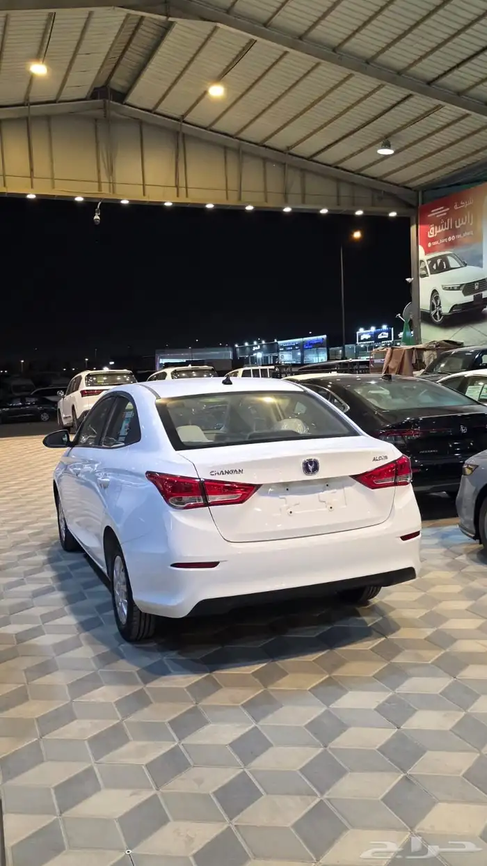 شنجان استاندر 2026 1
