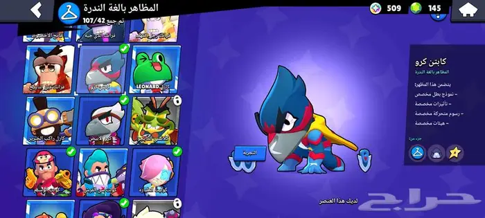 حساب براول 30k كأس 6