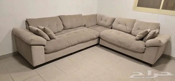 ركنة ممتازة ومجلس انتريه 1