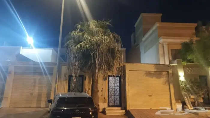 نخلة واشنطن 0