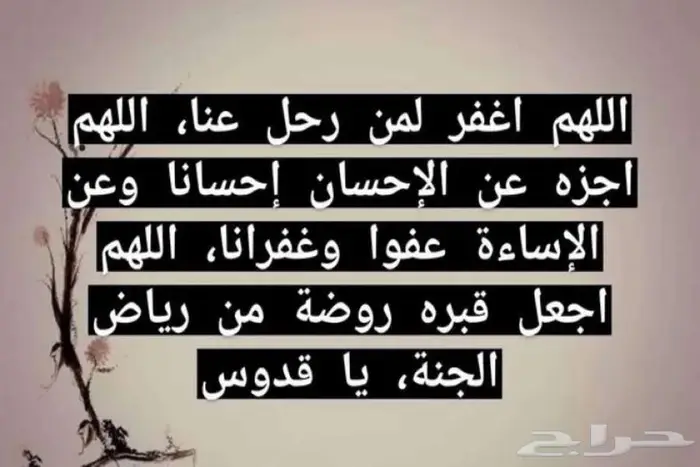 مضخة يدوية مع 3 مراحل ضغط عالي 0-6000 رطل 13
