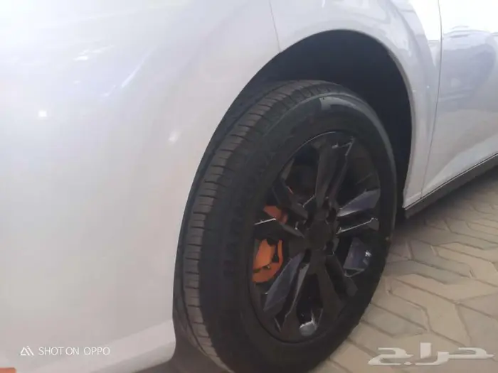 دونج فينج2025 شاين E2 4