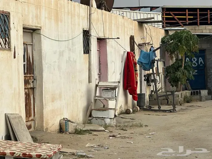 أرض سكنية للإيجار في خميس مشيط   شمال تندحة 11
