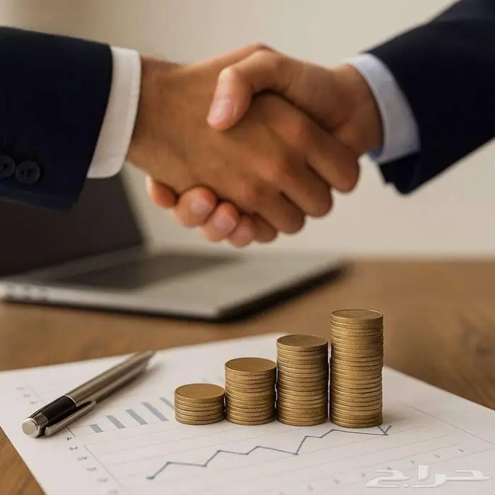 فرصة شراكة استثمارية 0
