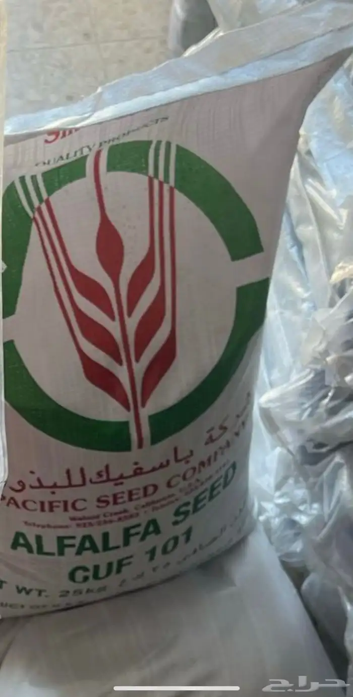 بذار برسيم 0