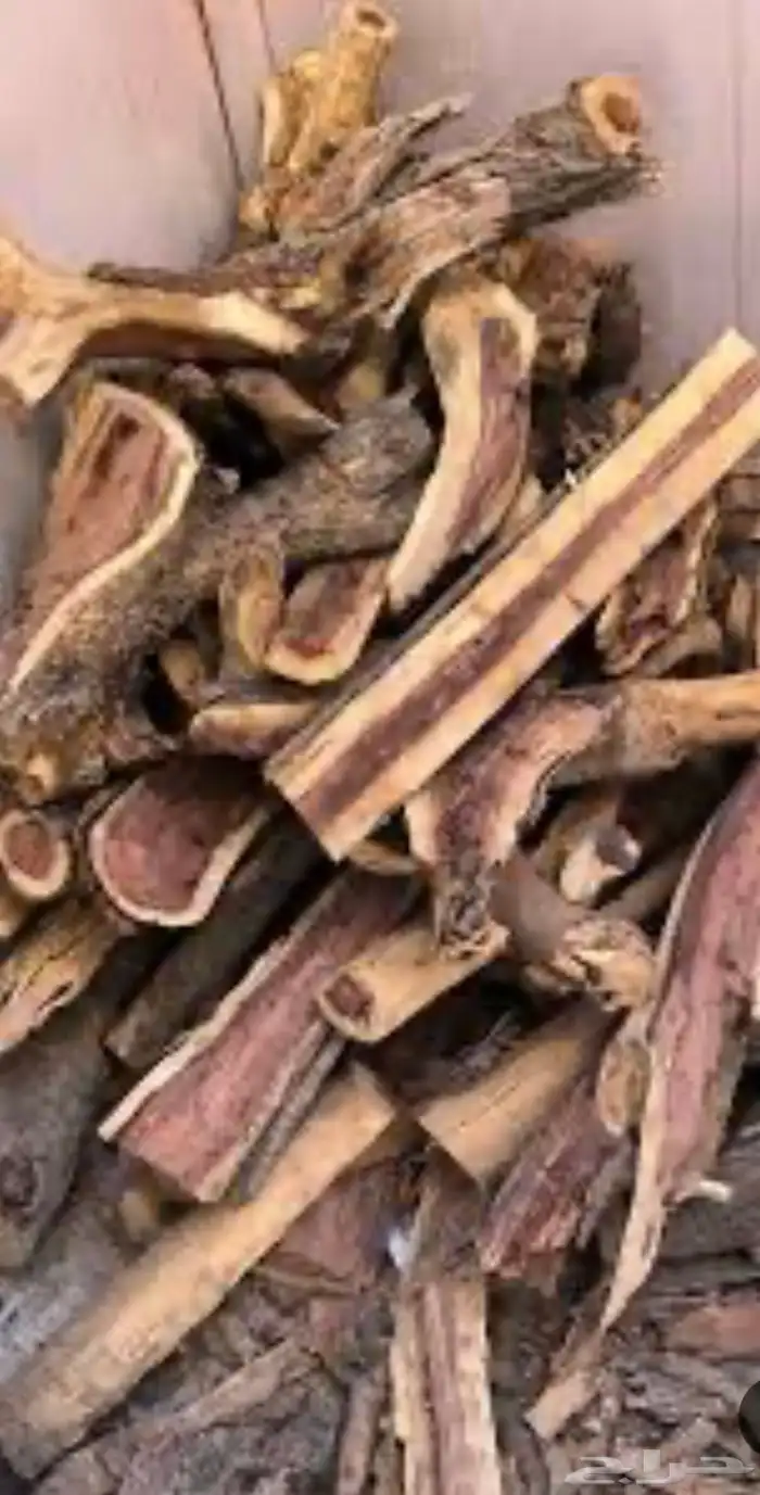 حطب مستورد 1