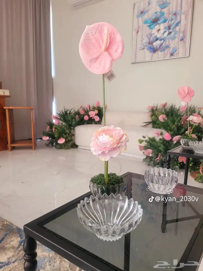 منسق حفلات 0