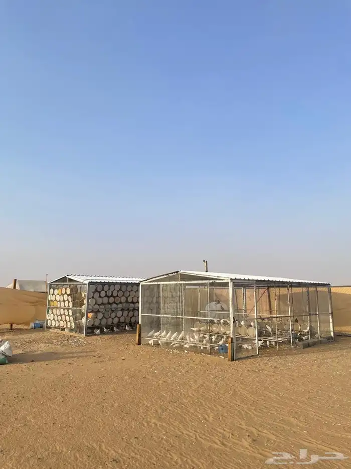 حمام فرنسي للبيع مع شبوك بقلاوة 1