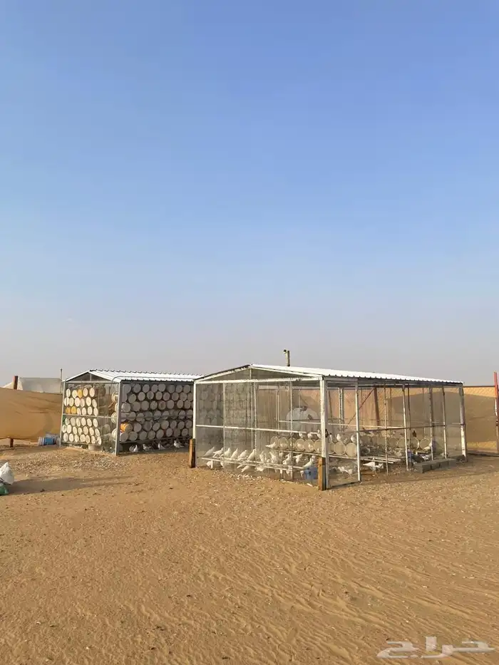 حمام فرنسي للبيع مع شبوك بقلاوة 0