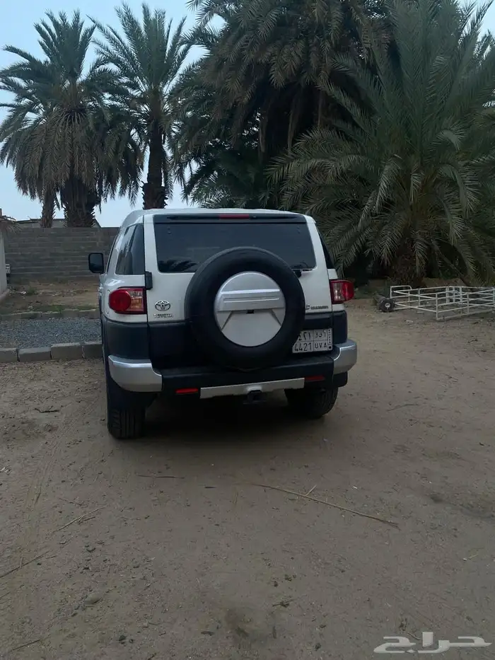 افجي 2013 2