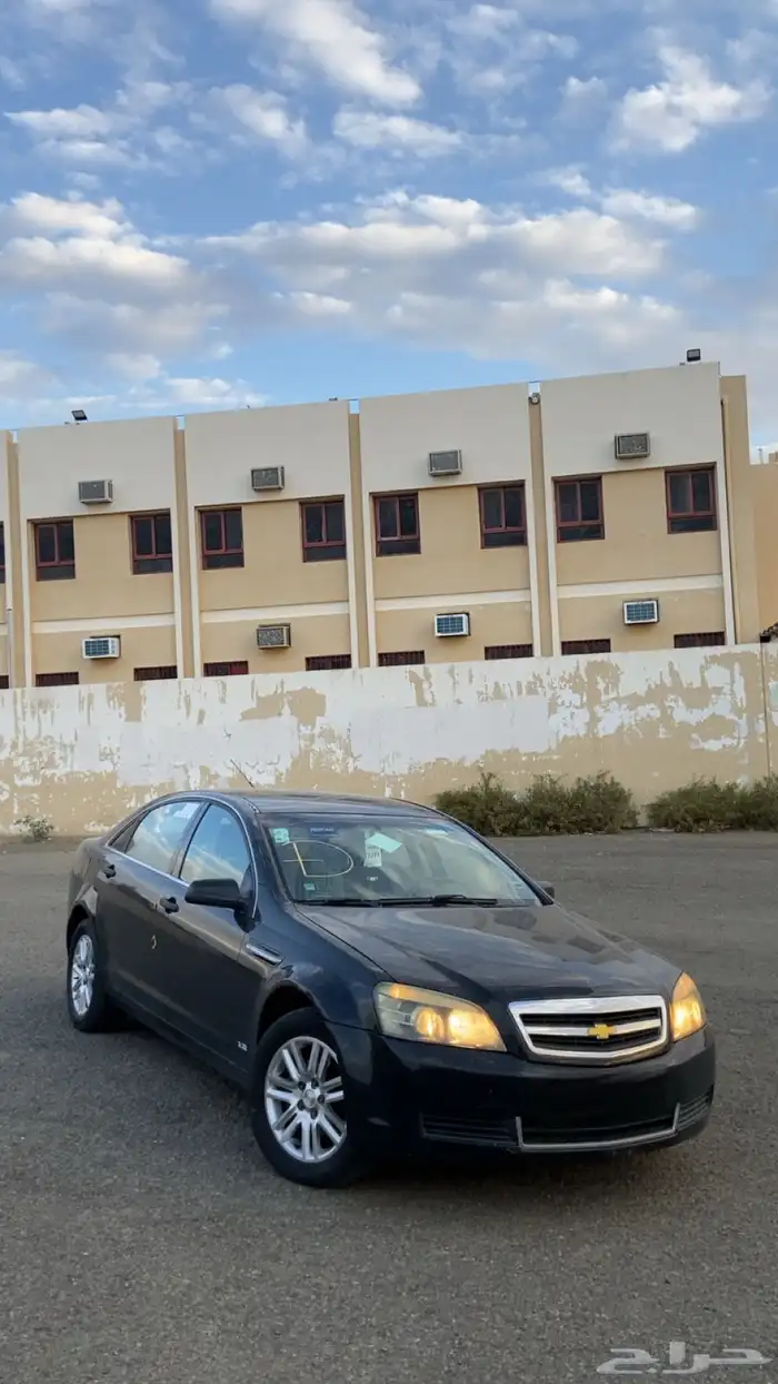 كابرس LS 12