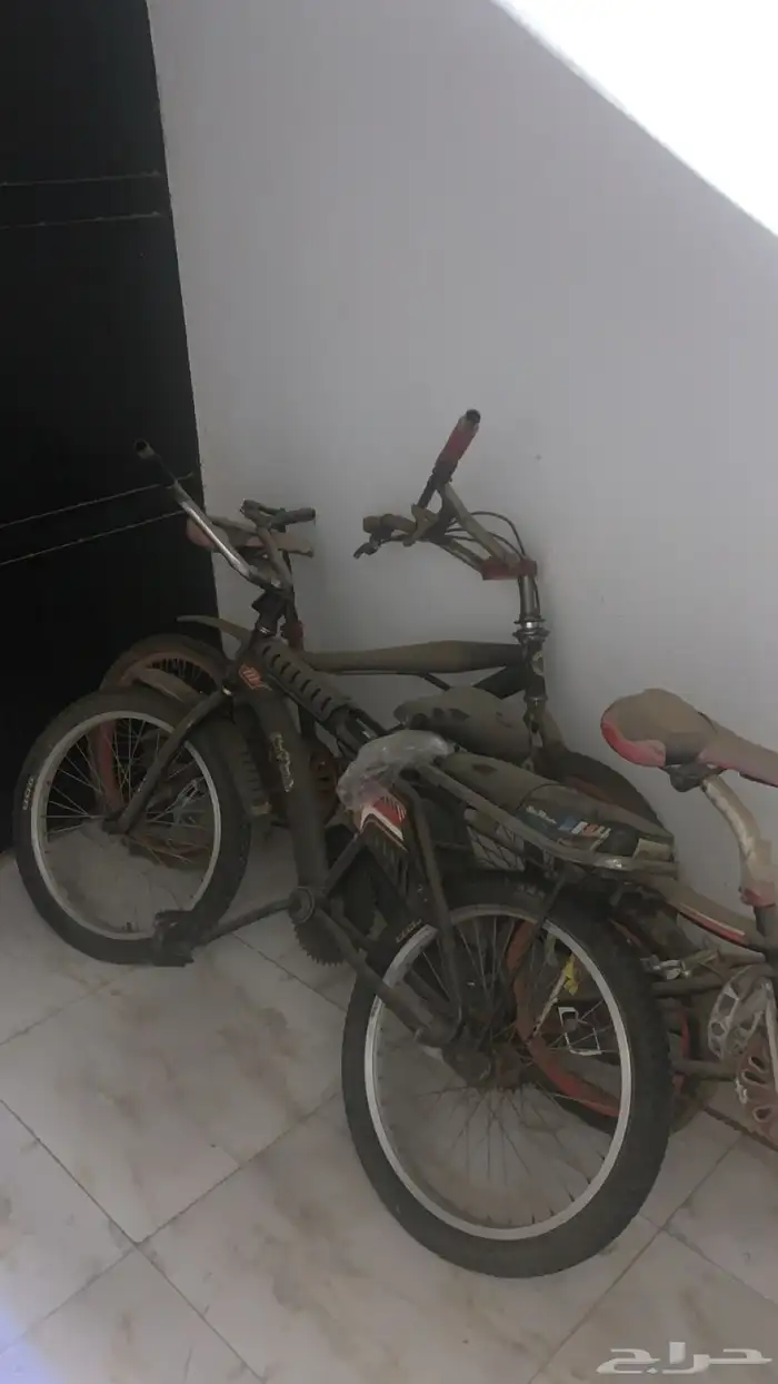 سيكل رامبو اندنوسي 0