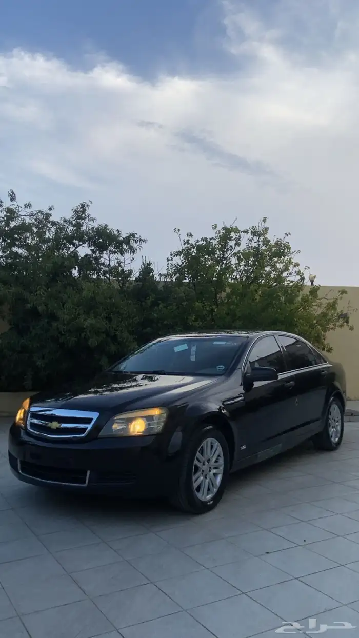 كابرس LS 21