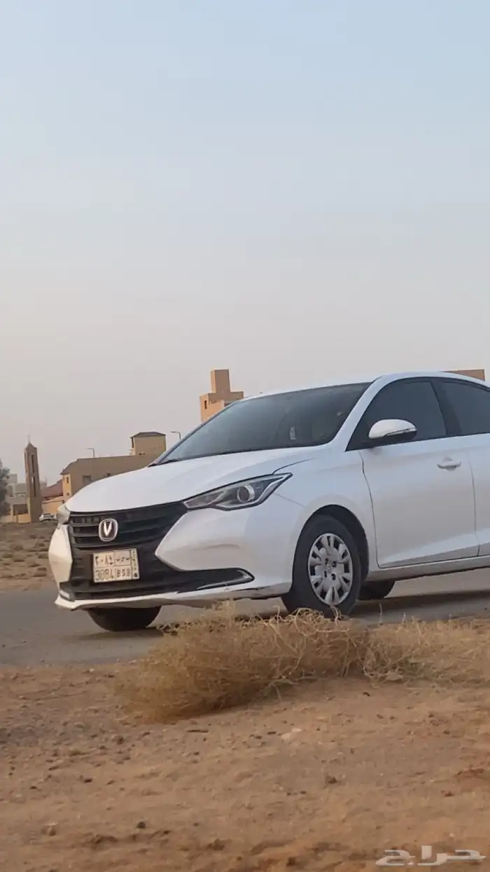 شانجان السفن 3