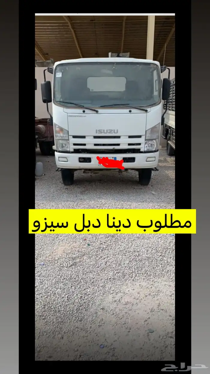 مطلوب دينا سيزو دبل 0