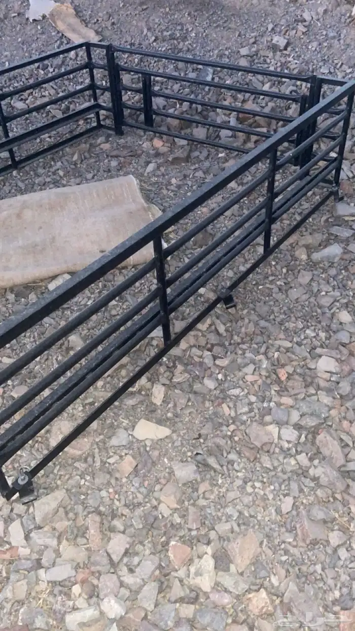 هنقلين ددسن 1