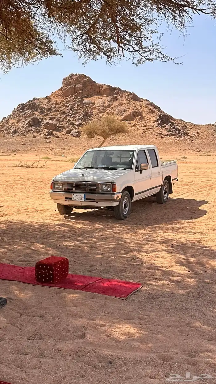 ددسن 8