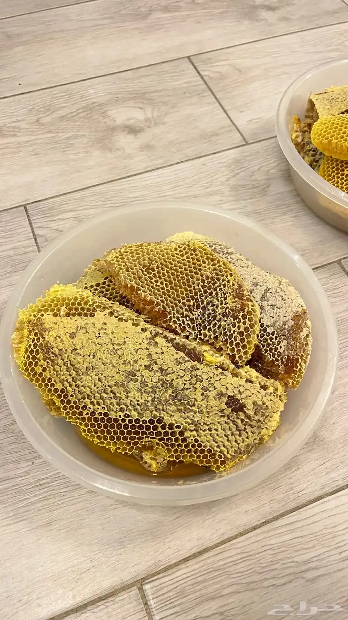 عسل السدرة والقرضه 1