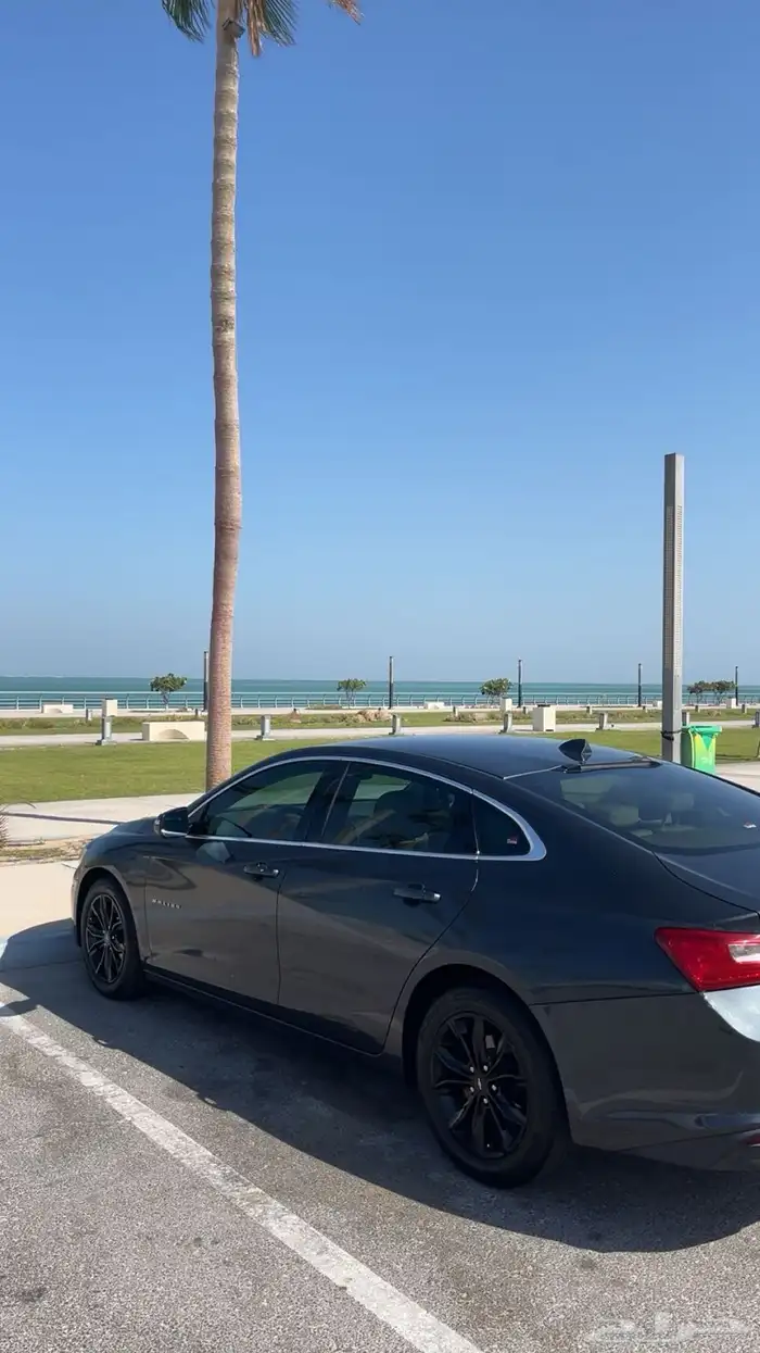 شيفروليه ماليبو 2019 4