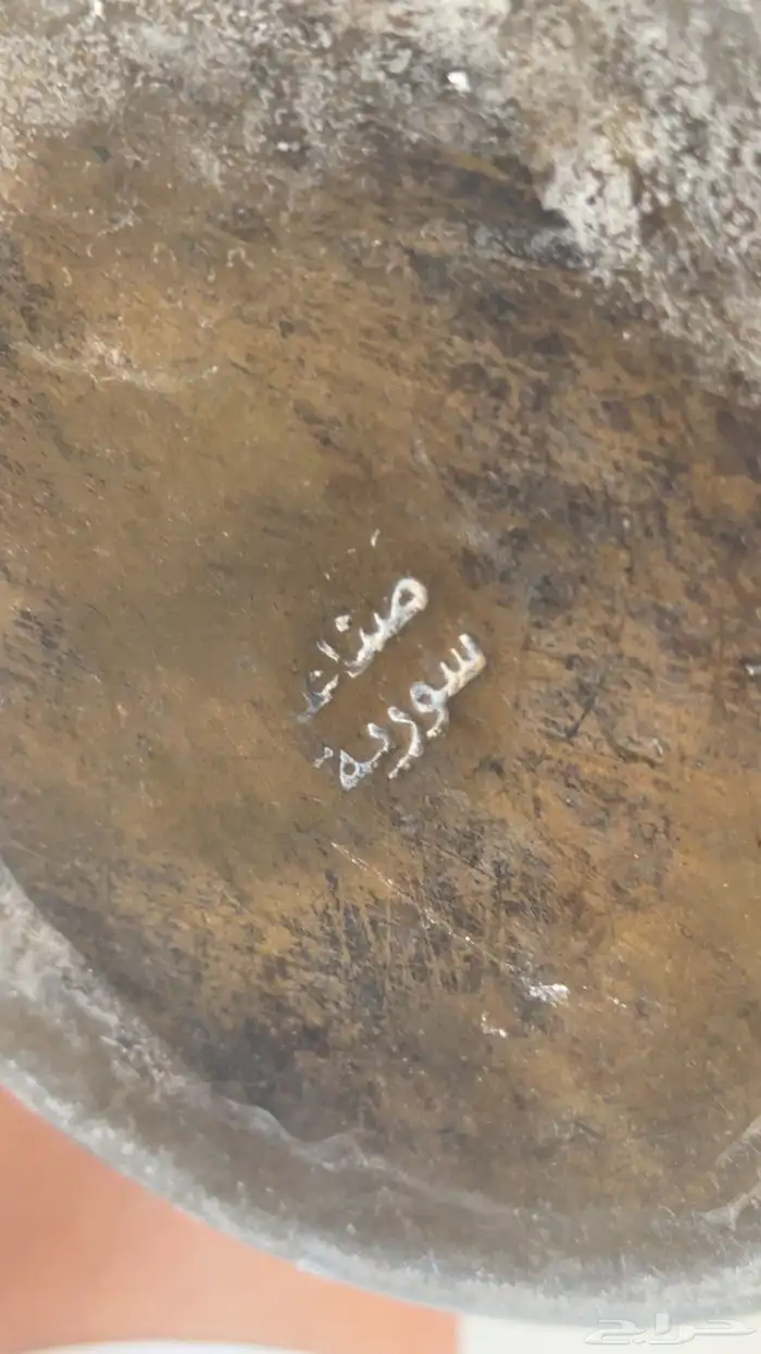 ست دلال وثلاث عزب 5