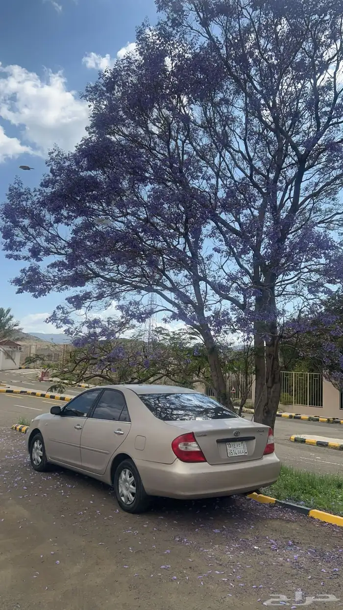 كامري 2003 1