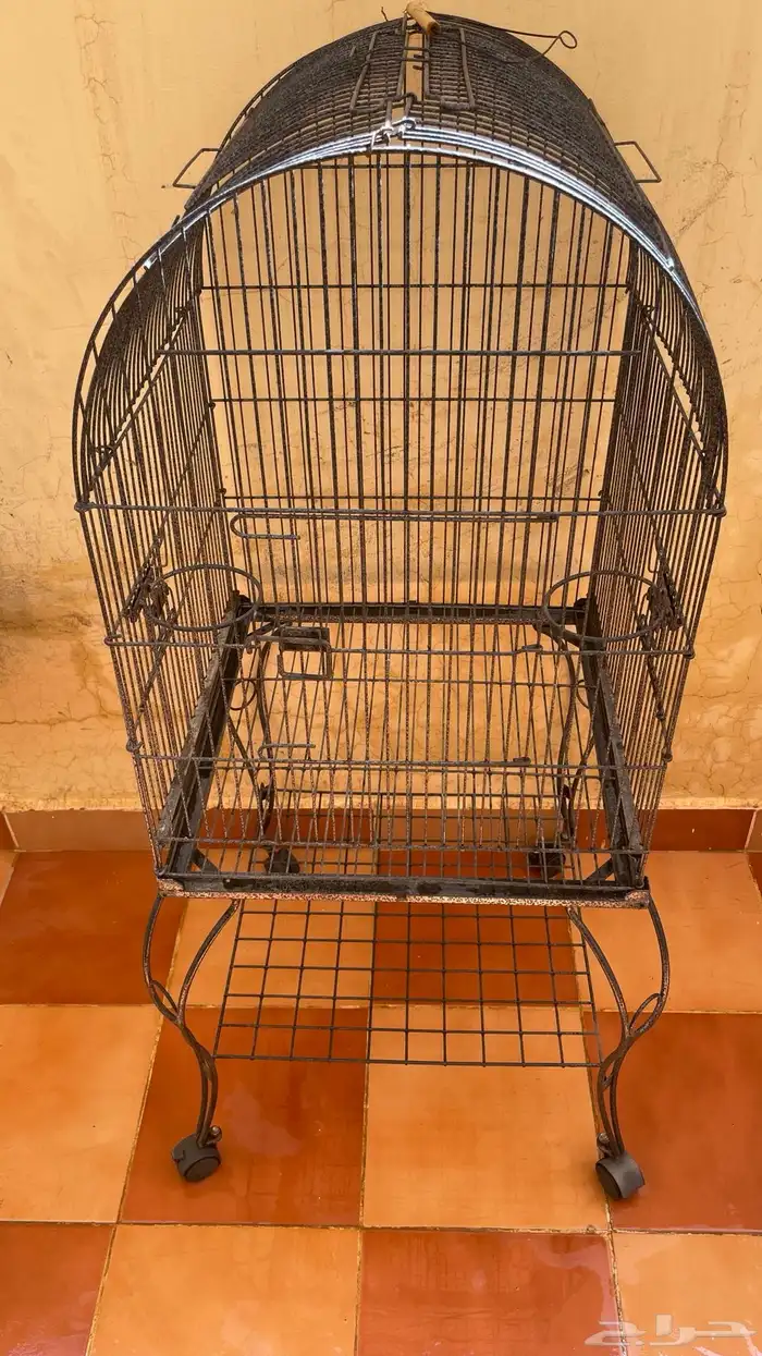 شبك طيور كبير وزينه 0