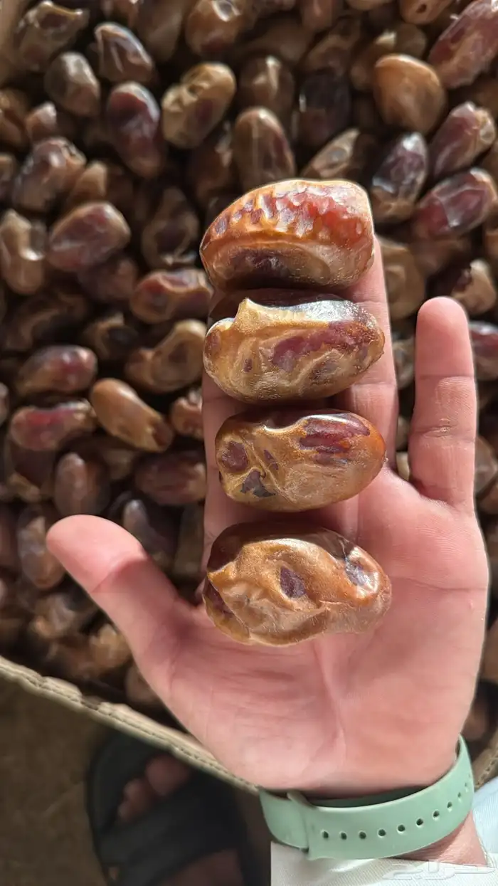 تمر فنخاء كراتين موز عدد 33 1