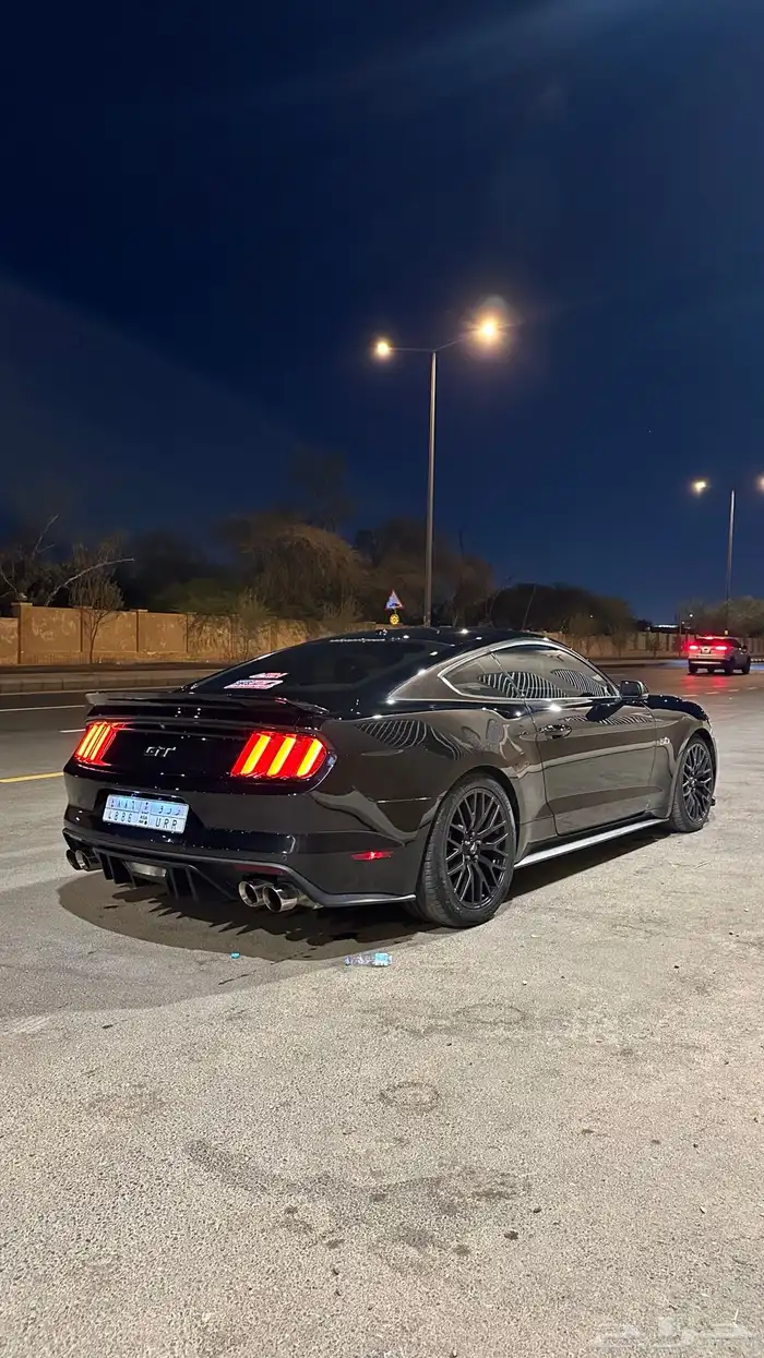 موستنج 2017 3