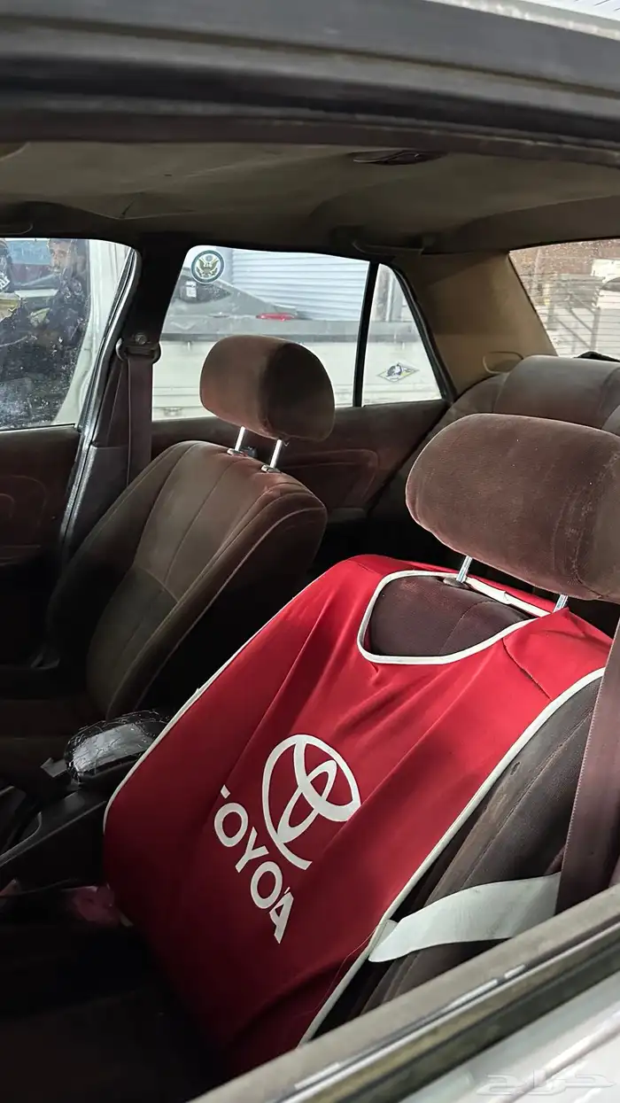 كرسيدا مفحوصه مجدده من والى 5