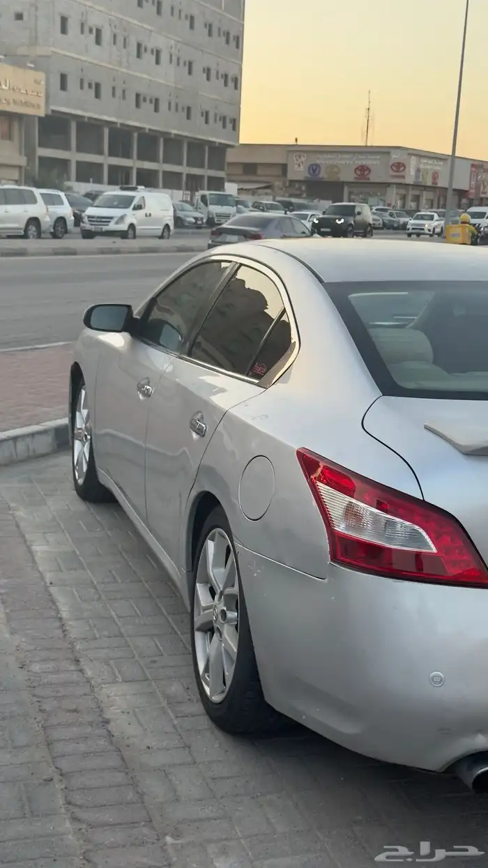 مكسيما 10