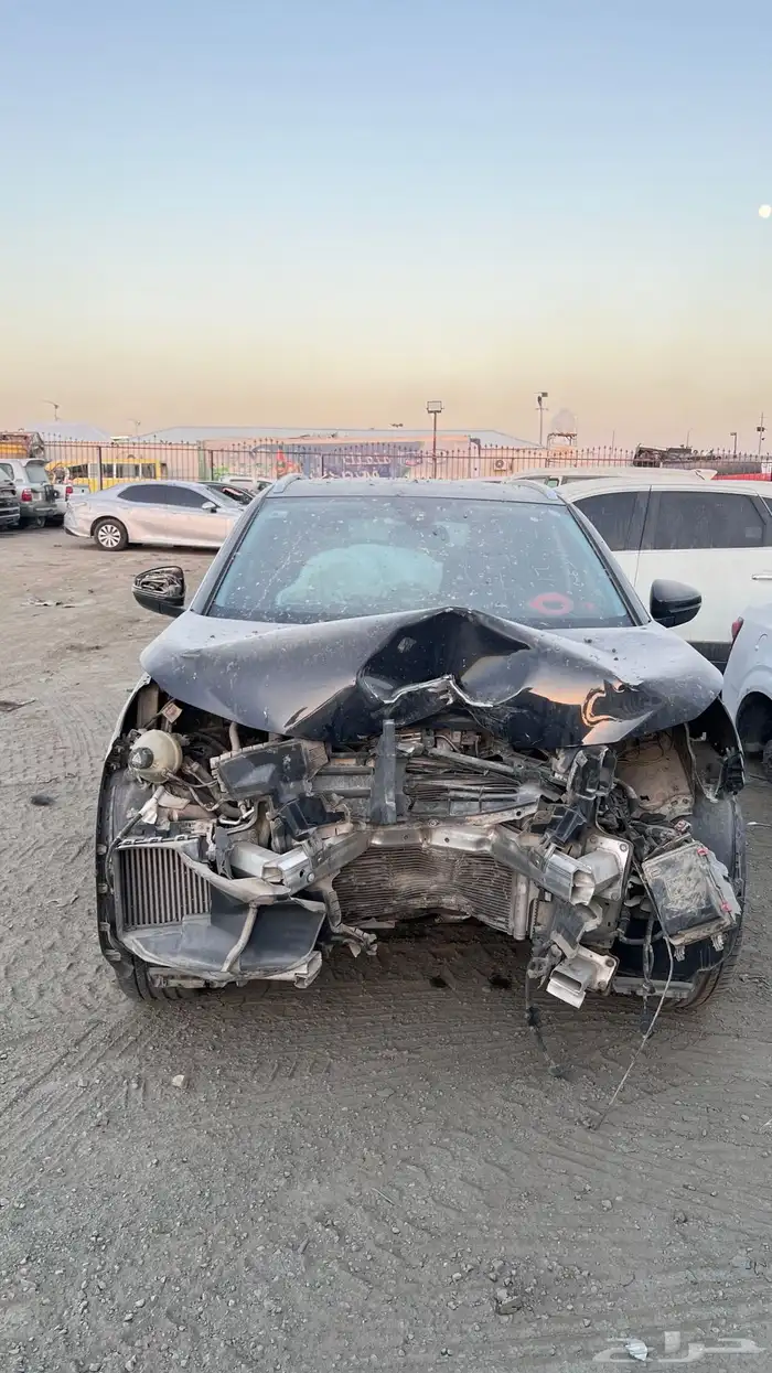 بيجو 2019 مصدوم 2