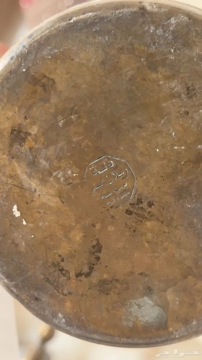 ست دلال وثلاث عزب 3