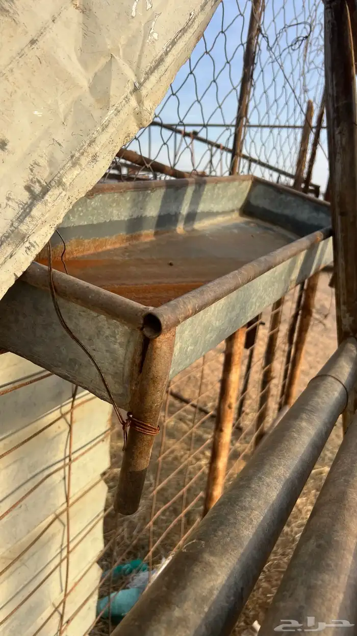 شبك بيدوك 7