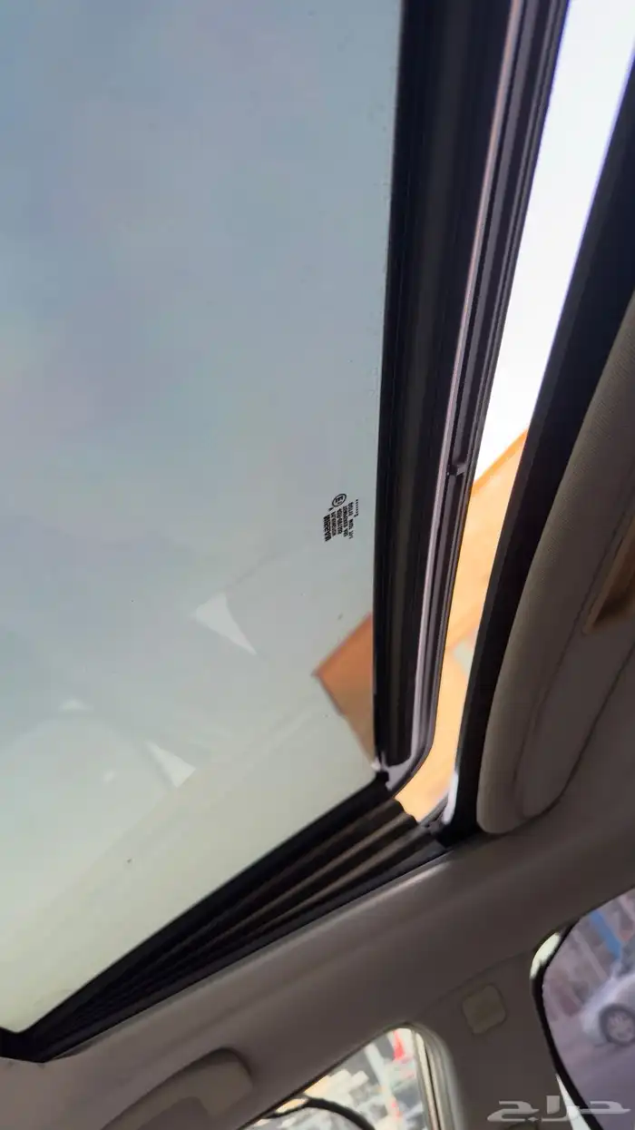 مكسيما 17