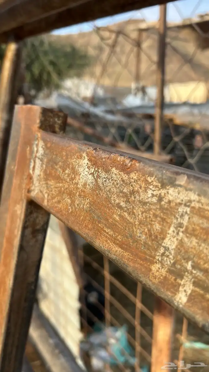 شبك بيدوك 2